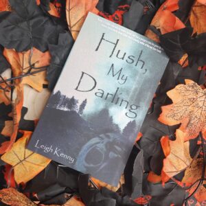 Hush, My Darling by Leigh Kenny