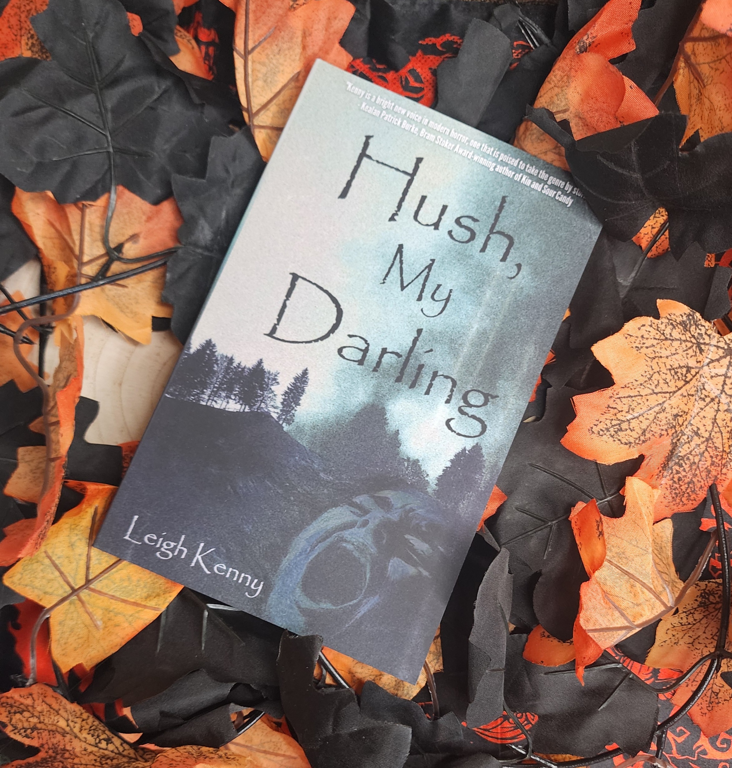 Hush, My Darling by Leigh Kenny
