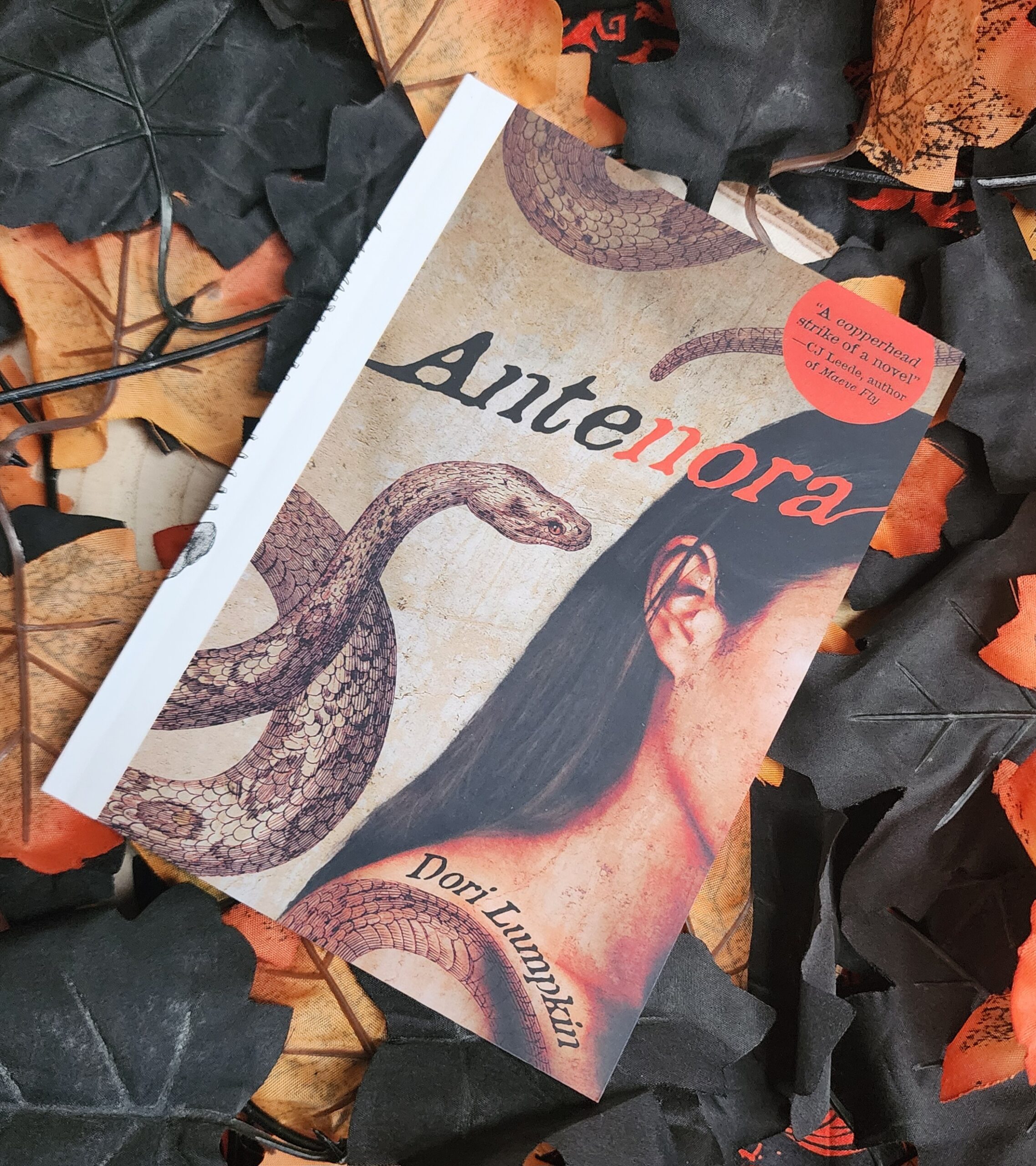 Antenora by Dori Lumpkin