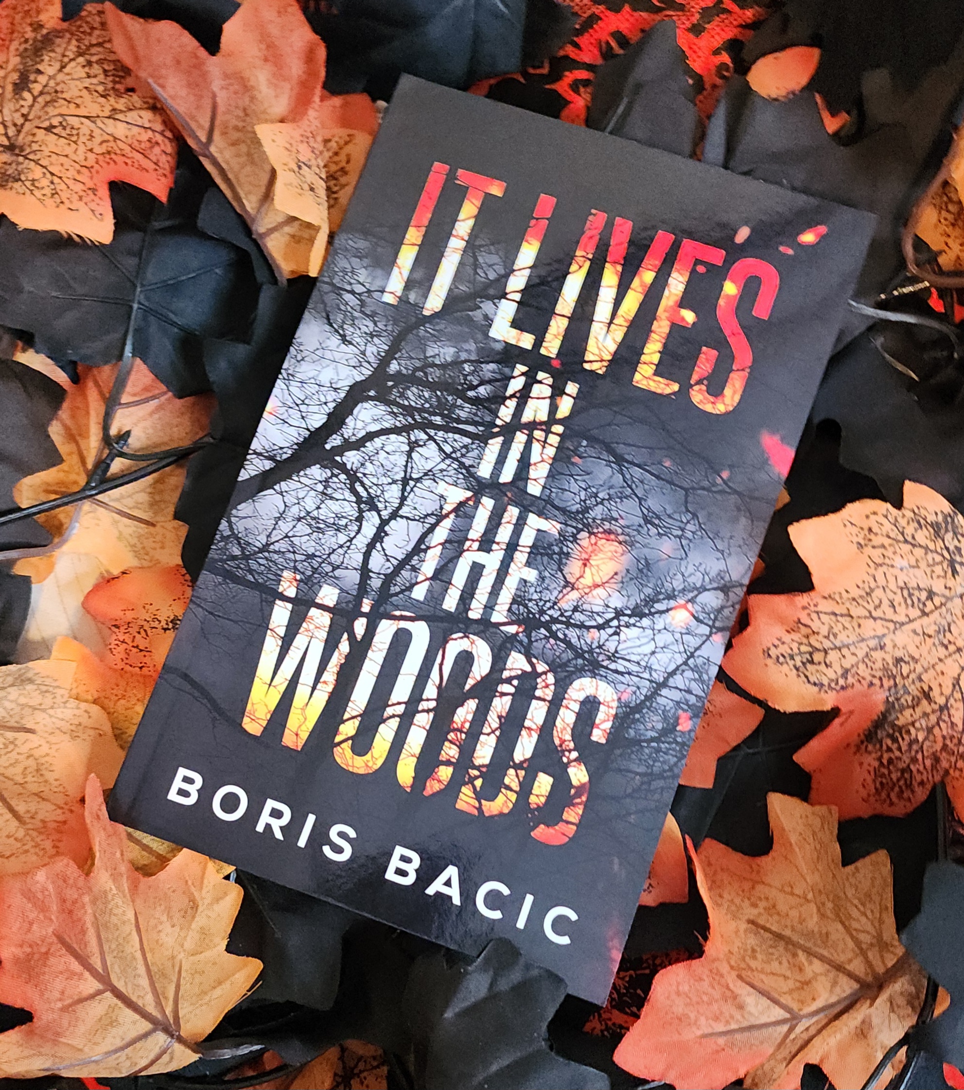 It Lives in the Woods by Boros Bacic