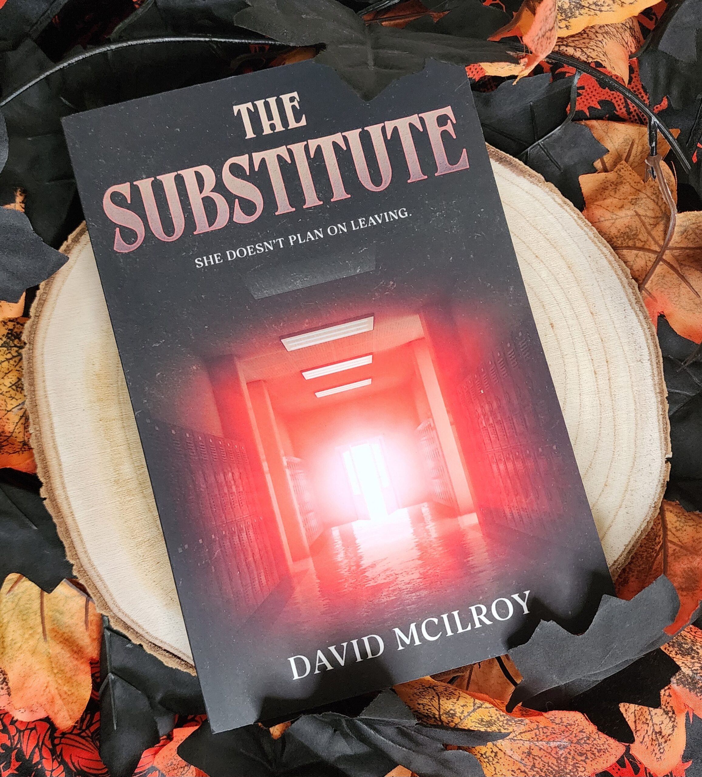 The Substitute by David McIlroy