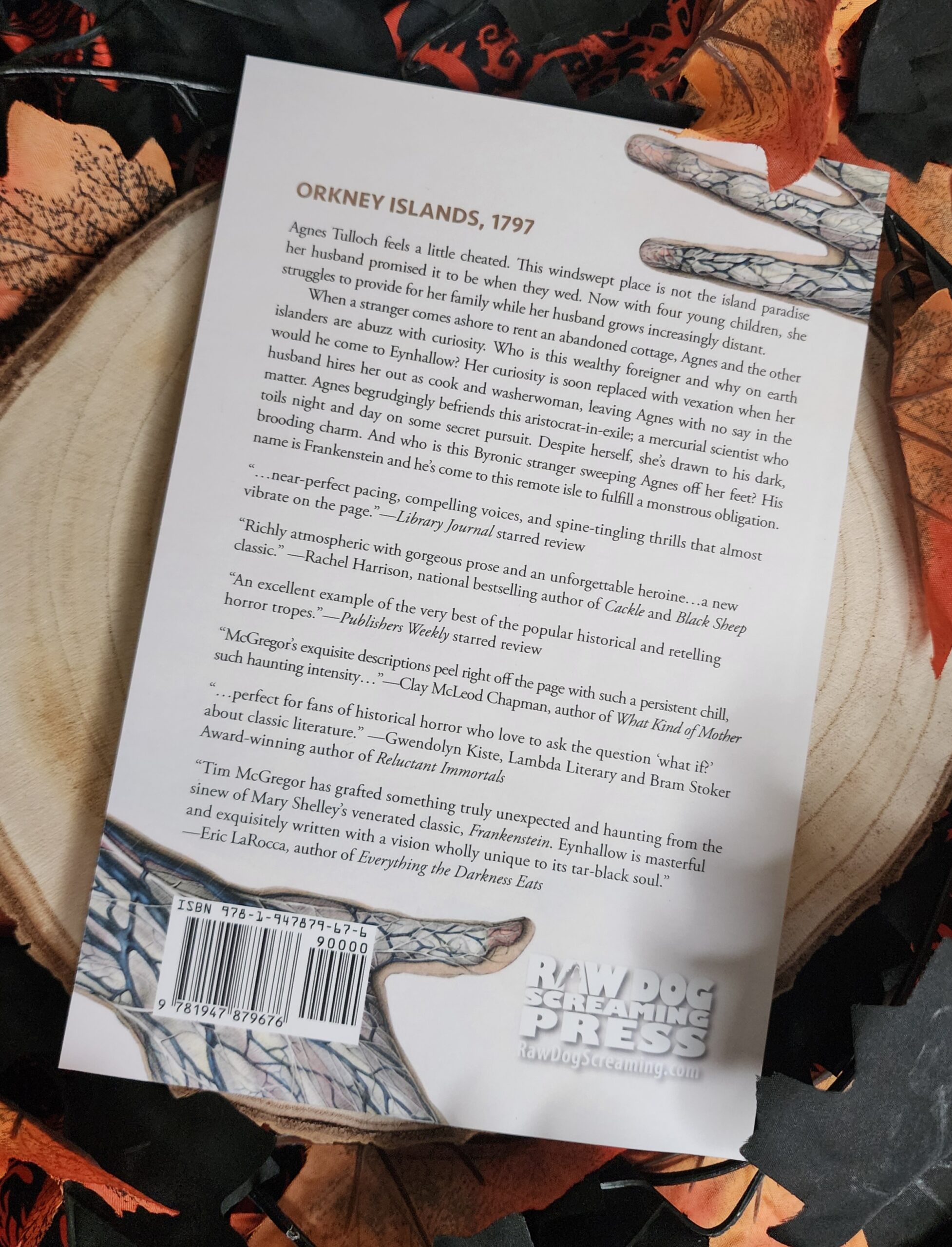 Eynhallow by Tim McGregor - Image 2