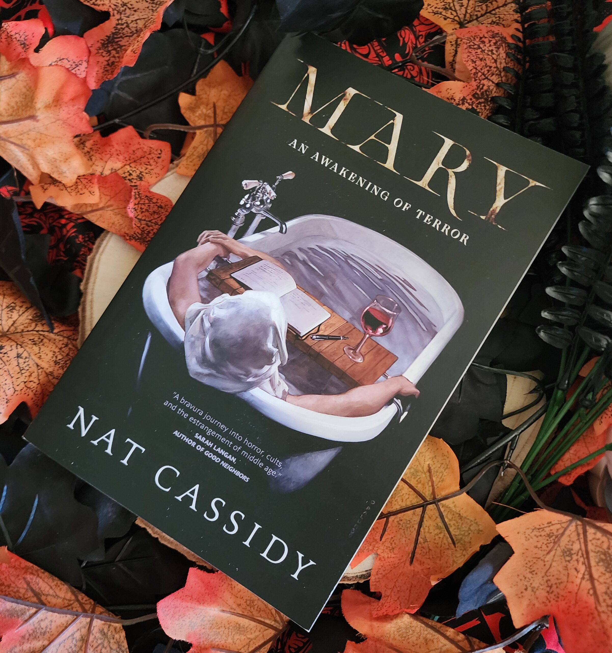 Mary by Nat Cassidy