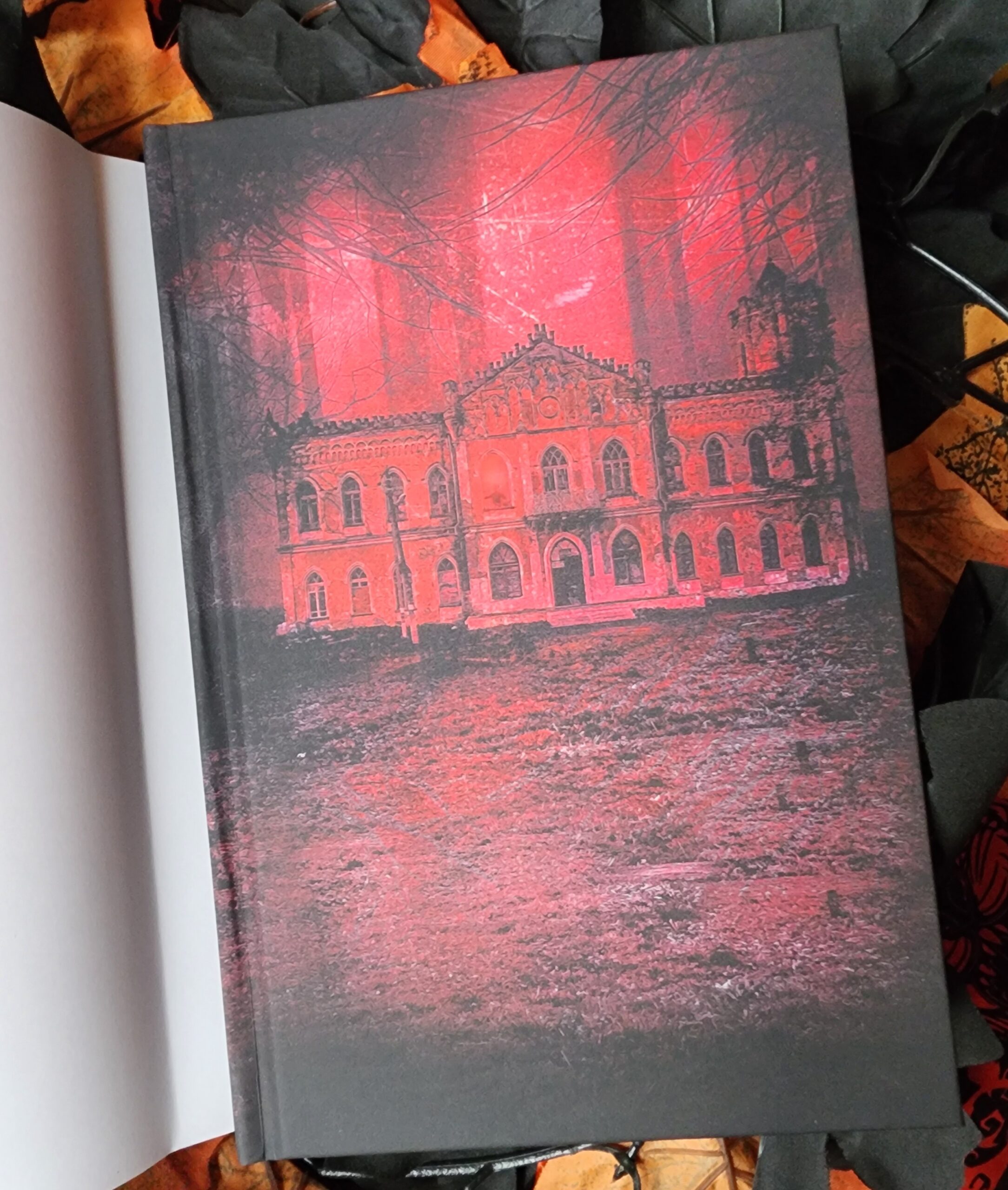 The Haunting of Kenmore Asyl by JJ Carpenter - Image 3
