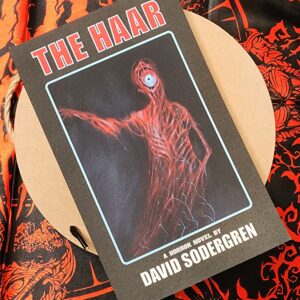 The Haar by David Sodergren