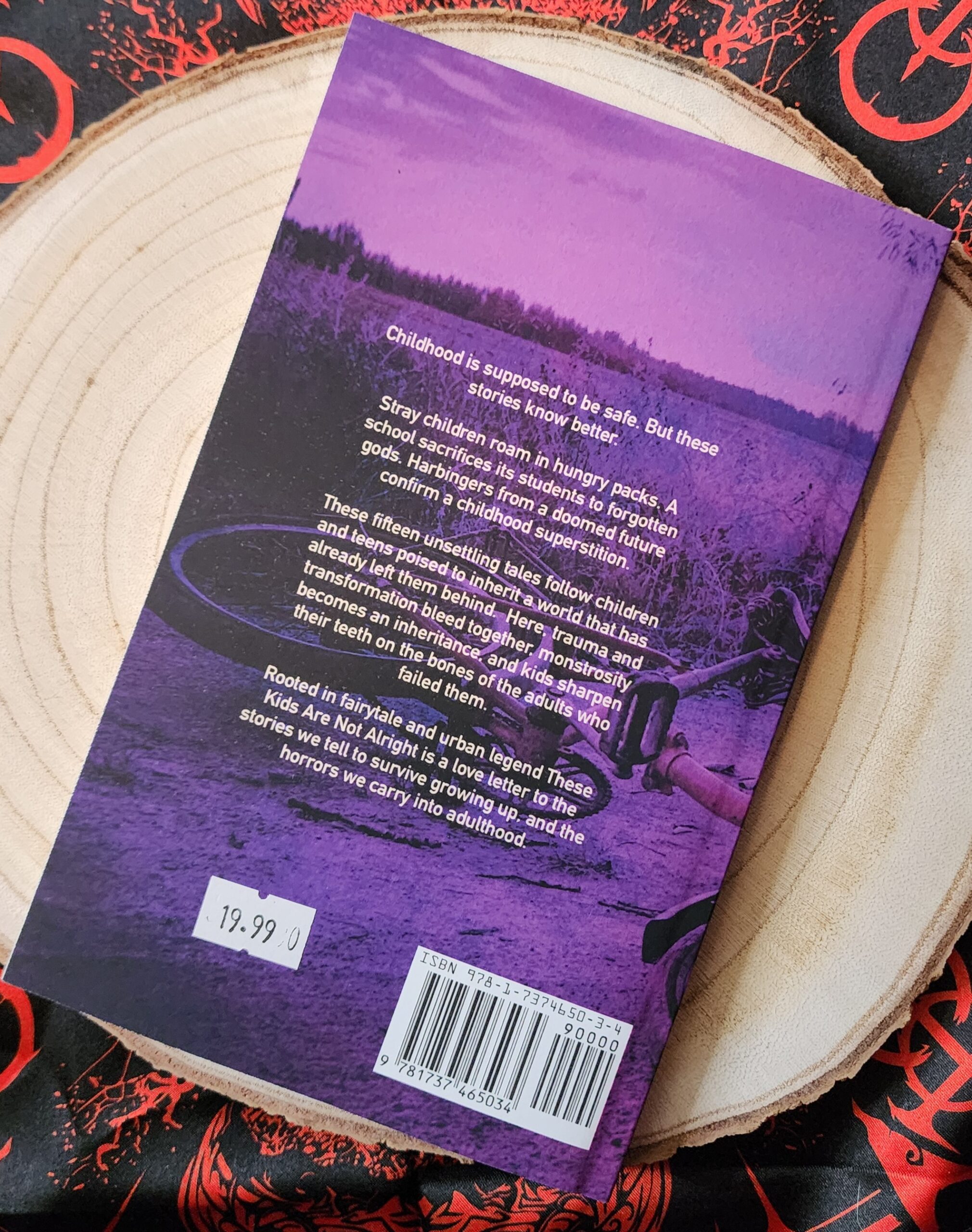 These Kids Are Not Alright by T.L. Bodine - Image 2