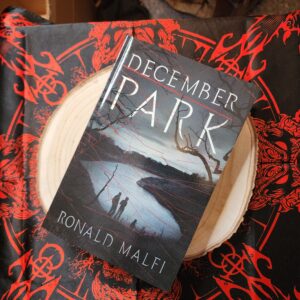 December Park by Ronald Malfi