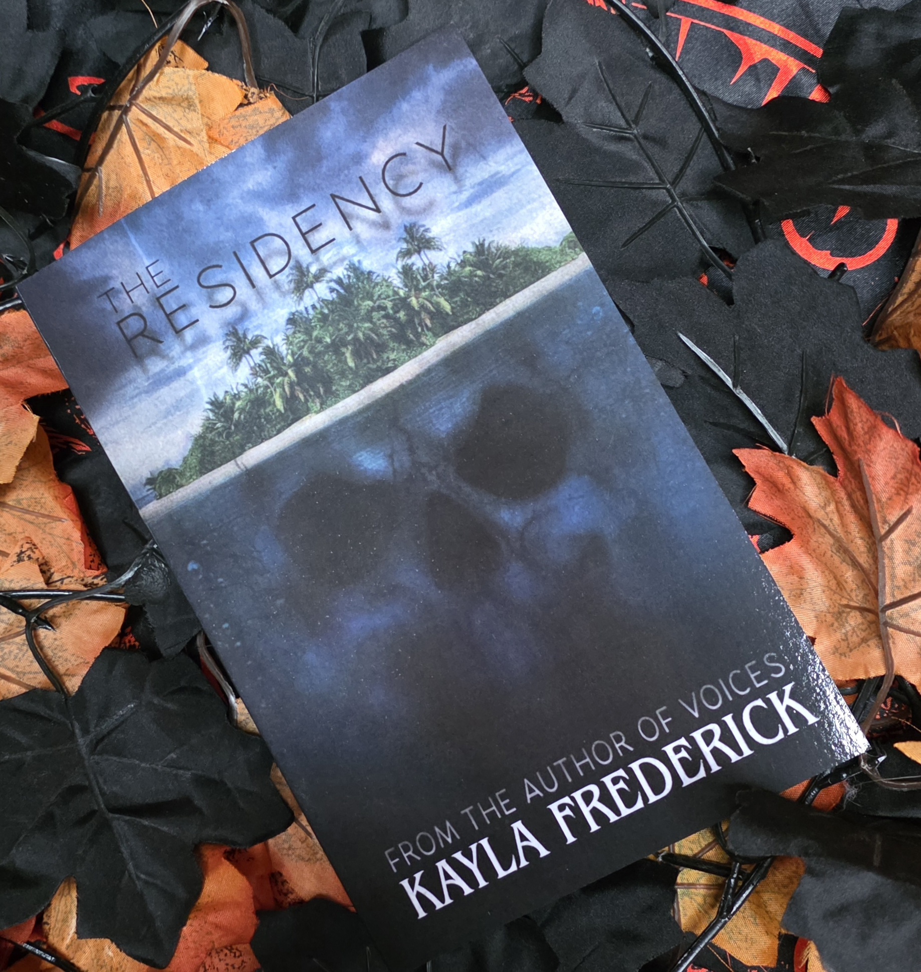 The Residency by Kayla Frederick