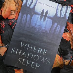 Where Shadows Sleep by Brandon Eldridge
