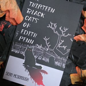 The Thirteen Black Cats of Edith Penn by Sean McDonough