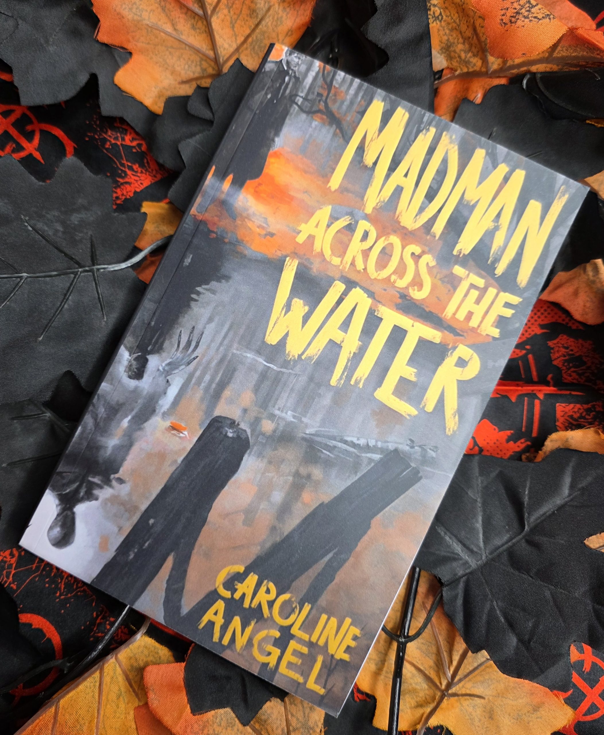 Madman Across the Water by Caroline Angel