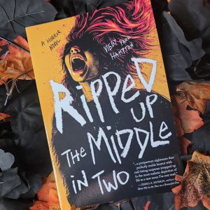 Ripped Up The Middle In Two by Viggy Parr Hampton