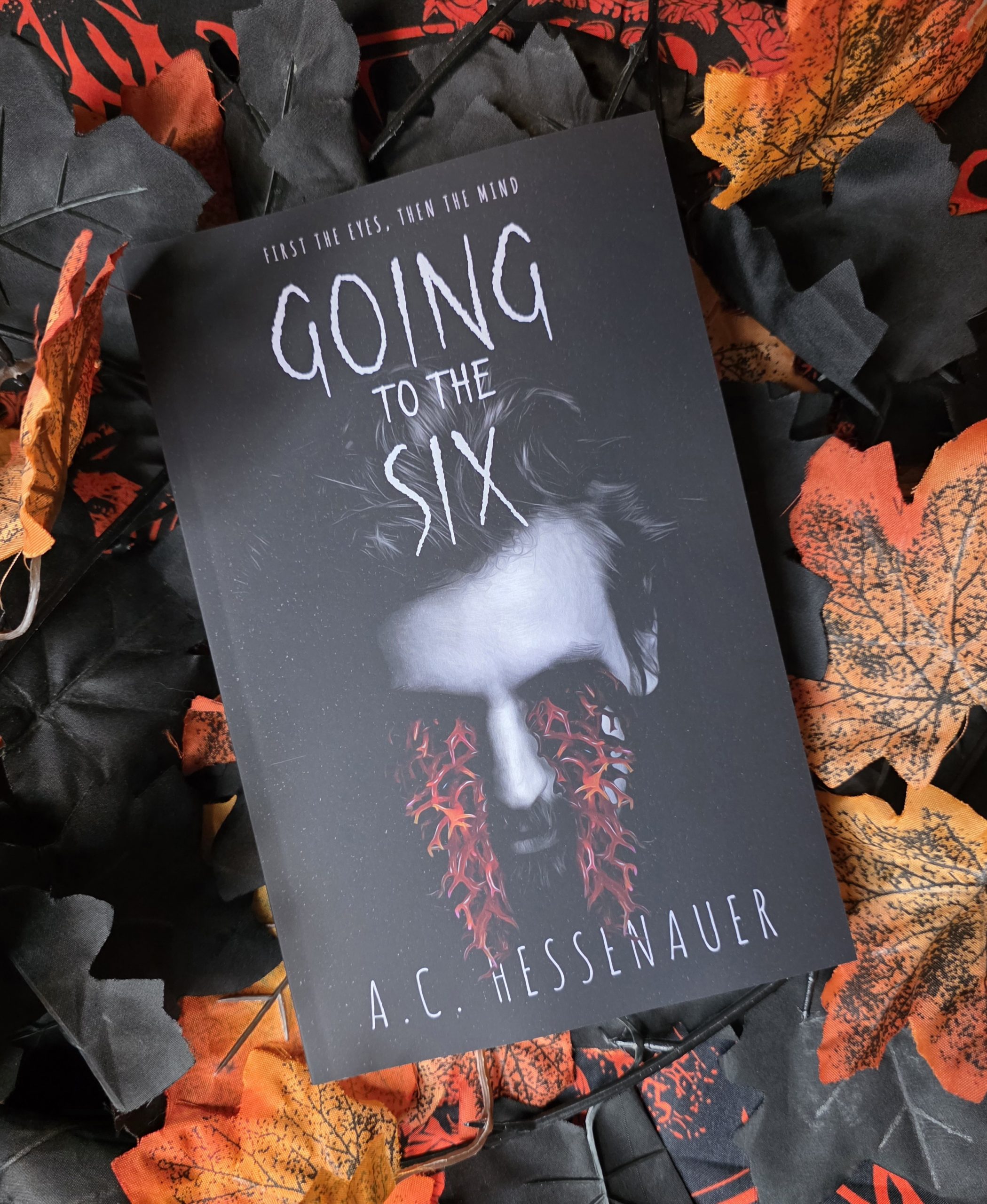 Going To The Six by A.C. Hessenauer