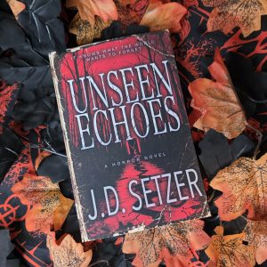 Unseen Echoes by J.D. Setzer