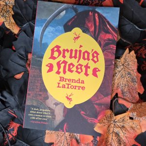 Bruja's Nest by Brenda LaTorre