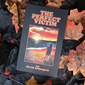 The Perfect Victim by David Sodergren