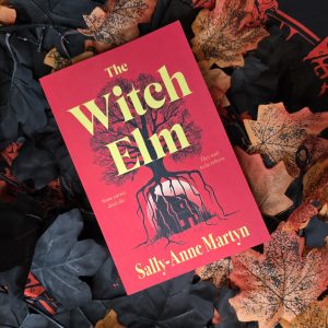 The Witch Elm by Sally-Anne Martyn